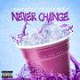 Never Change (feat. Nepsap) [Explicit]