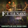 Felinos Concierto (En Vivo Arena CDMX)