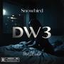 DW3 (feat. OBeatz)