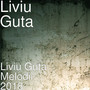 Liviu Guta Melodii 2018