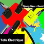 Tofu électrique