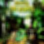 495 BLUNTS (Explicit)