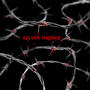 SILVER THORNS (Explicit)