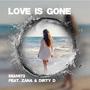 Love Is Gone (feat. Zana & Dirty D)