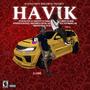 Havik