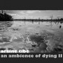 An Ambience of Dying II