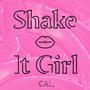 Shake It Girl (Explicit)