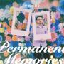 Permanent Memories