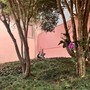 Behind the Sun