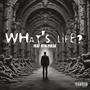 What's Life? (feat. ATM Pulse) [Explicit]