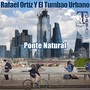 Ponte Natural