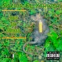 Rats Get Smoked (Explicit)