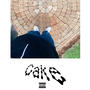 Cake (Explicit)