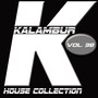 Kalambur House Collection, Vol. 38