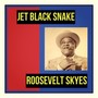 Jet Black Snake