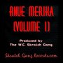 Anue Merika, Vol. 1