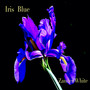 Iris Blue