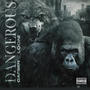 Dangerous (feat. Looni) [Explicit]