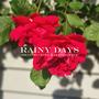 Rainy Days (feat. King Baztard Yitz) [Explicit]
