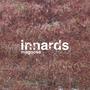 innards (Explicit)