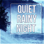 Quiet Rainy Night - Sound of Summer Rain, Calm Relaxing Nature Sounds, Water Sound Perfect for Sleep, Massage, Tai Chi, Meditation, Serenity Music to Reduce Anxiety and Sadness, Music for Babies