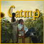 Catnip