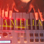 Amelia (Live Session)