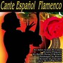 Cante Español Flamenco