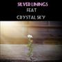 Silver Linings (feat. Crystal Sky) [Explicit]