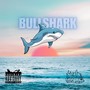 Bullshark (Explicit)