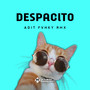 DJ Despacito