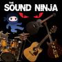 The Sound Ninja