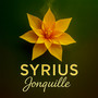 Jonquille (Explicit)