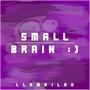 Small Brain :)