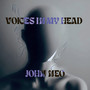 Voices In My Head