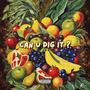 CAN U DIG IT? (Explicit)