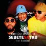 Sebete Sa Tau (feat. Mokotjo & BlackSoul)