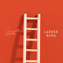 Ladder Rung