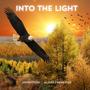 Into The Light (feat. Jahration)