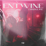 Entwine