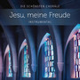 Jesu, meine Freude