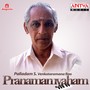 Pranamamyaham: Palladam S. Venkataramana Rao