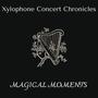 Magical Moments - Xylophone Concert Chronicles