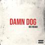 Damn Dog (Explicit)