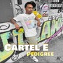 Pedigree (Explicit)