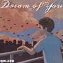 Dream of You (梦中的你）