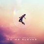 Tu Me Elevas (feat. Dommy la Sensacion)