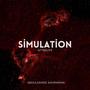 Simulation