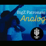 Analog