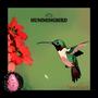 Hummingbird (feat. Spacejamz)